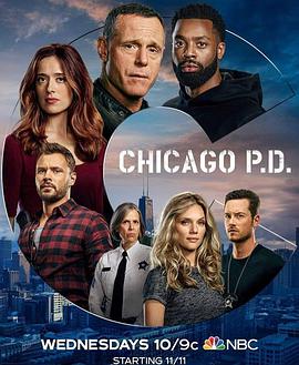芝加哥警署第八季被砍