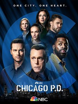 芝加哥警署第九季迅雷下载