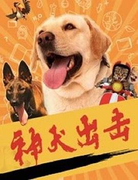 神犬出击电影搜狐