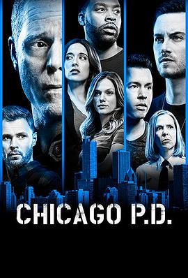 芝加哥警署第六季迅雷下载
