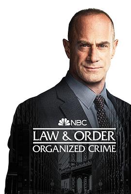 法律与秩序:组织犯罪 第一季 电视剧