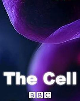 细胞培养