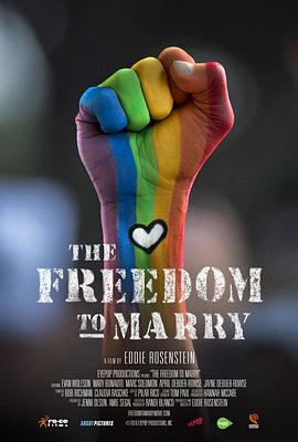 婚姻平权路 电影